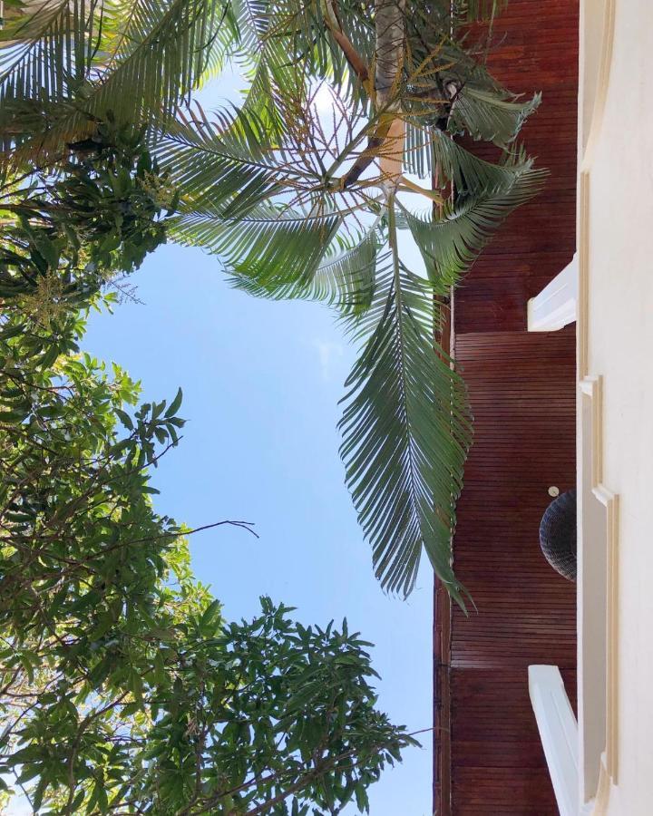 Steffi'S Mandala Hotel Hikkaduwa Exterior foto