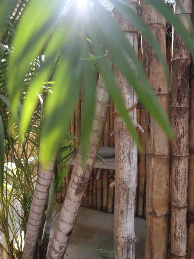 Steffi'S Mandala Hotel Hikkaduwa Exterior foto